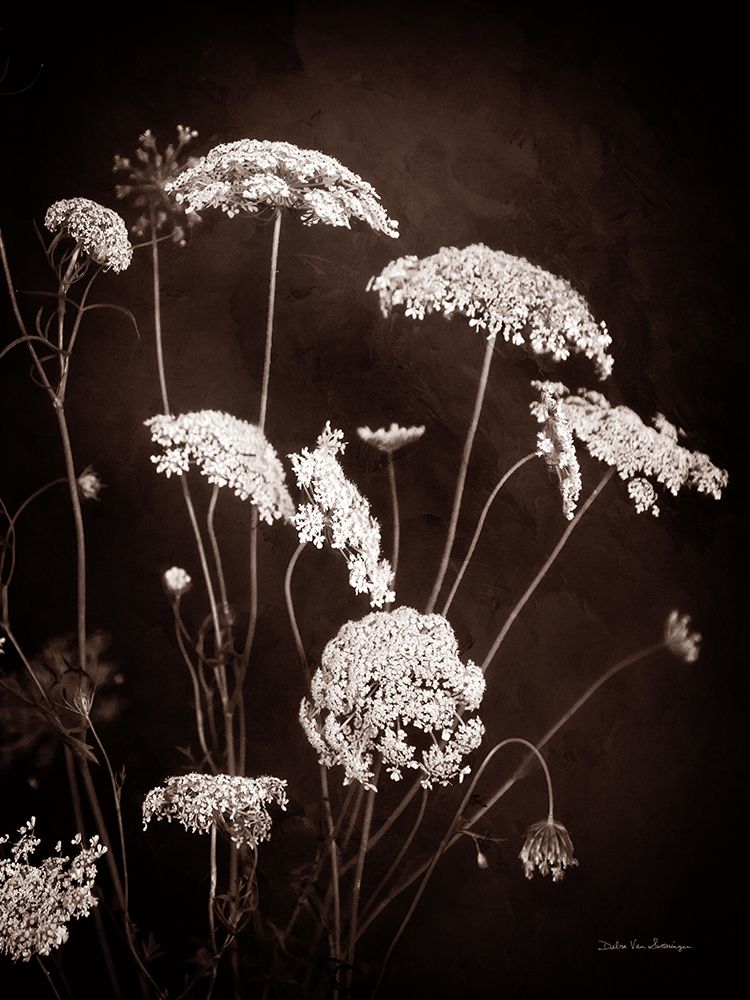 Delicate Lace II art print by Debra Van Swearingen for $57.95 CAD