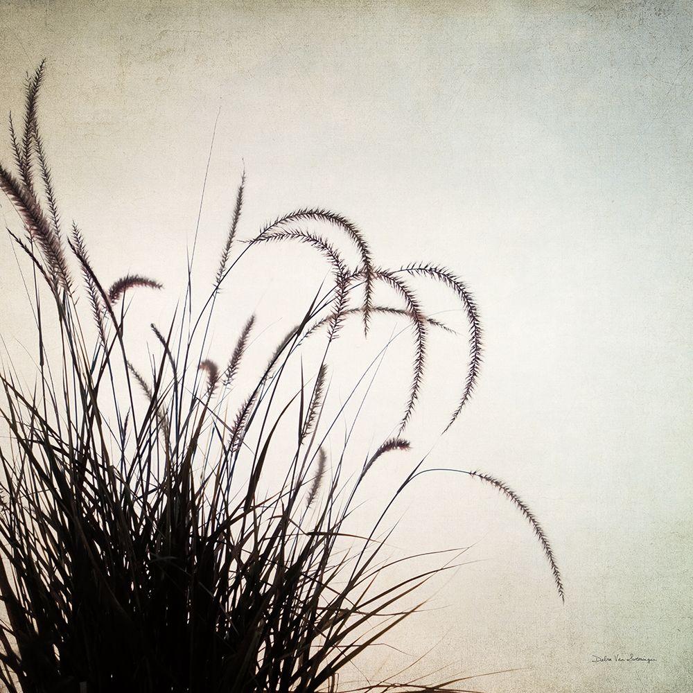 Simple Grasses II art print by Debra Van Swearingen for $57.95 CAD