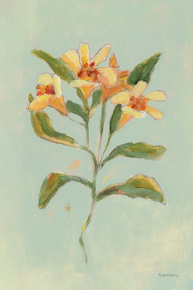 Lily Study II art print by Krystal Adams for $57.95 CAD
