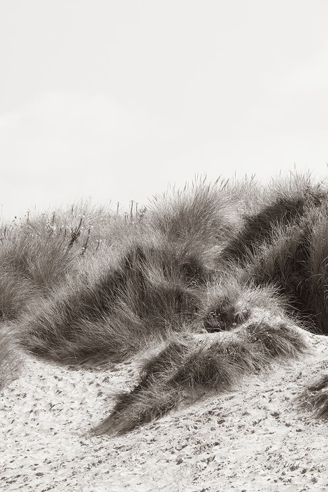 Soluna Dunes I art print by Deborah Revell for $57.95 CAD
