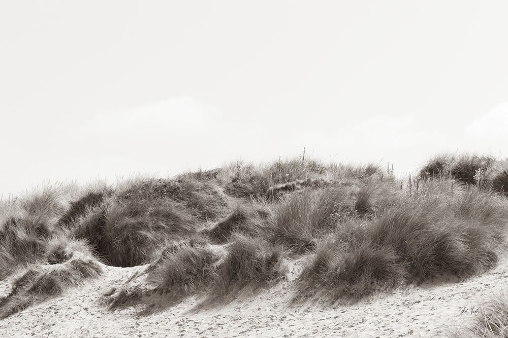 Soluna Dunes II art print by Deborah Revell for $57.95 CAD