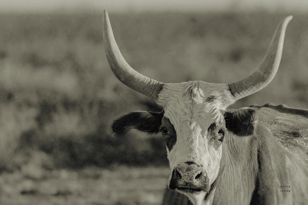 High Desert Herd Sepia art print by Nathan Larson for $57.95 CAD