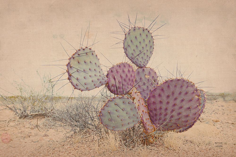 Border Sunset II art print by Nathan Larson for $57.95 CAD