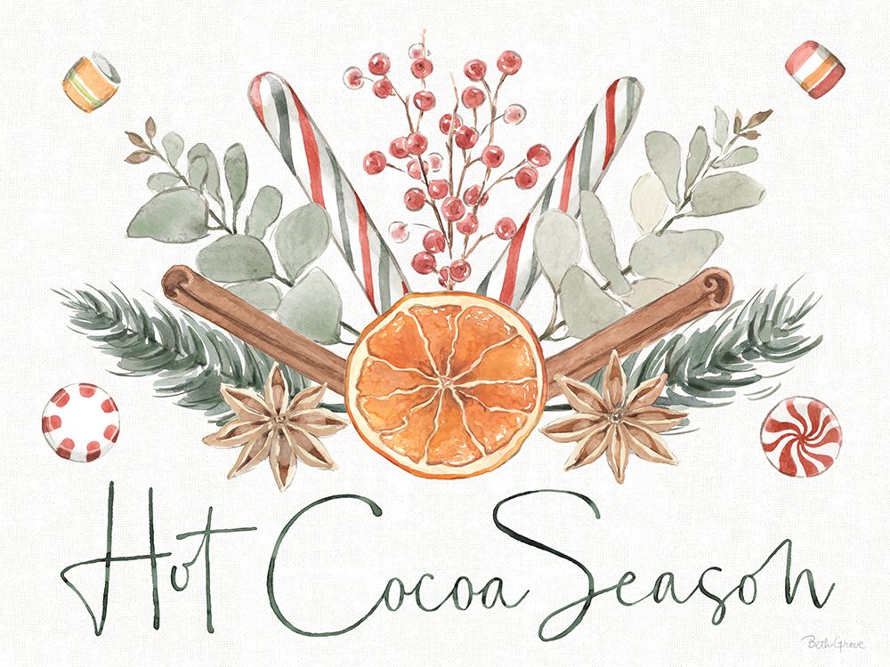 Winter Warmth VIII art print by Beth Grove for $57.95 CAD