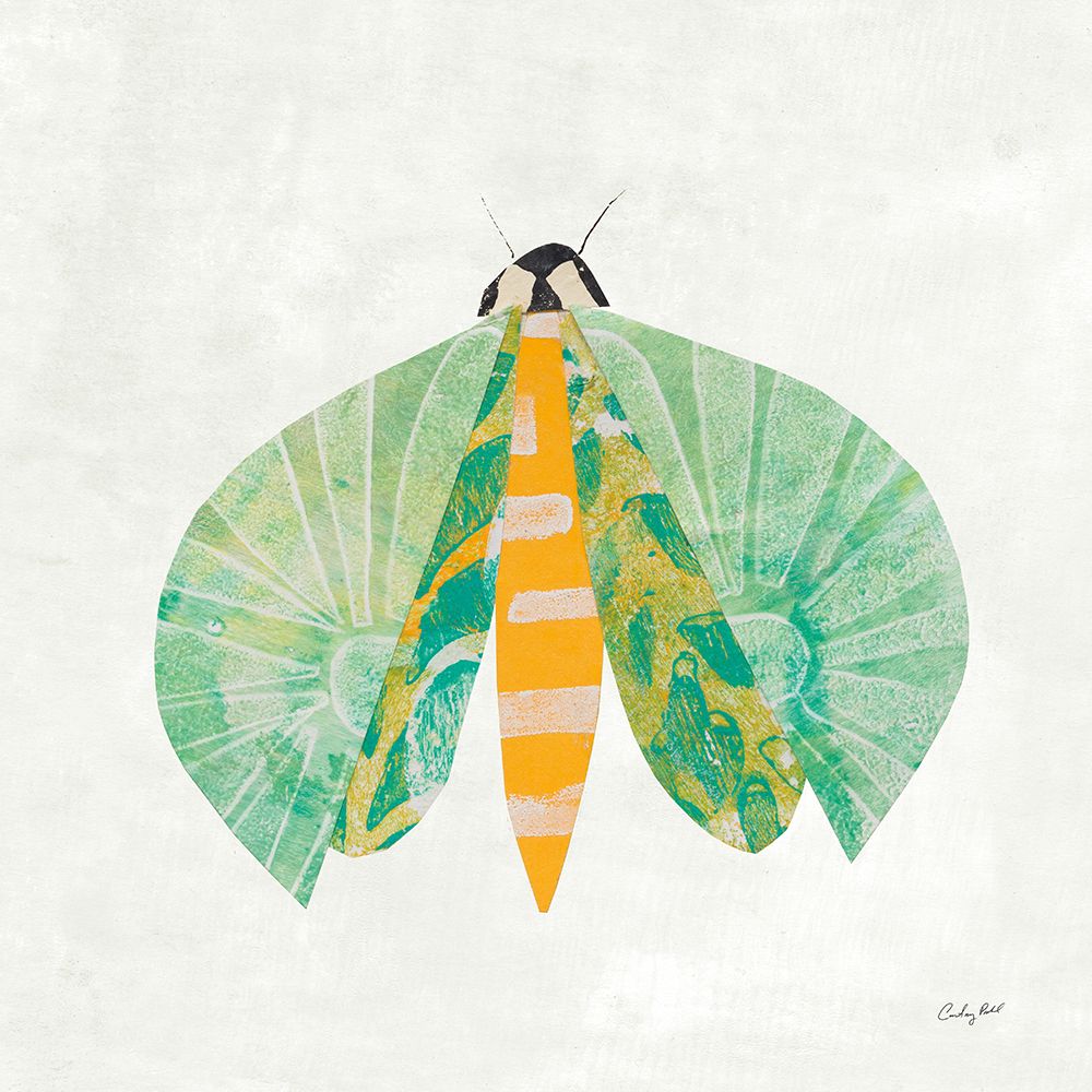 Collage Insects II art print by Courtney Prahl for $57.95 CAD