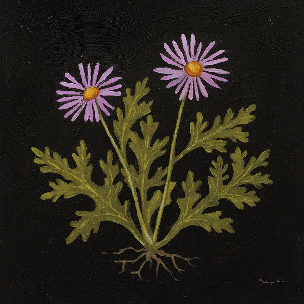 Vintage Chrysanthemum art print by Mackenzie Nelson for $57.95 CAD