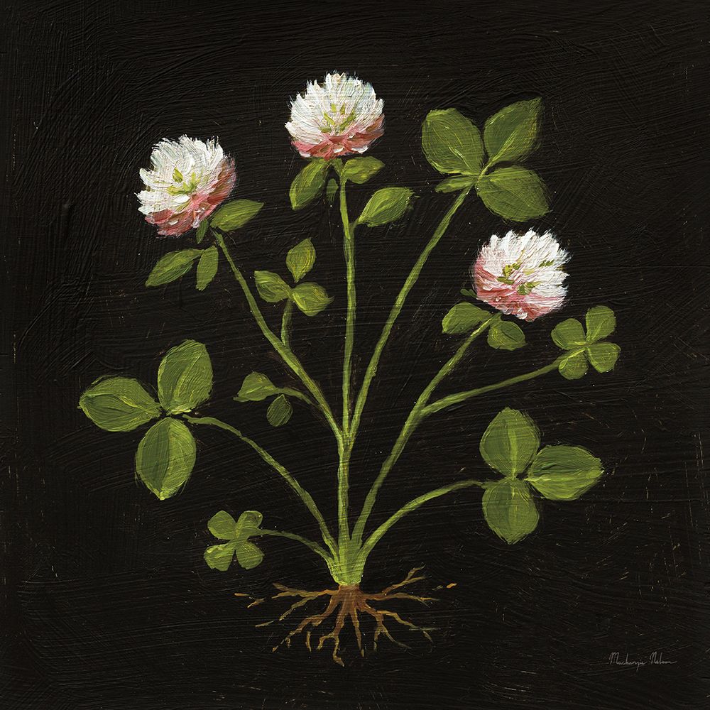 Vintage Clover art print by Mackenzie Nelson for $57.95 CAD