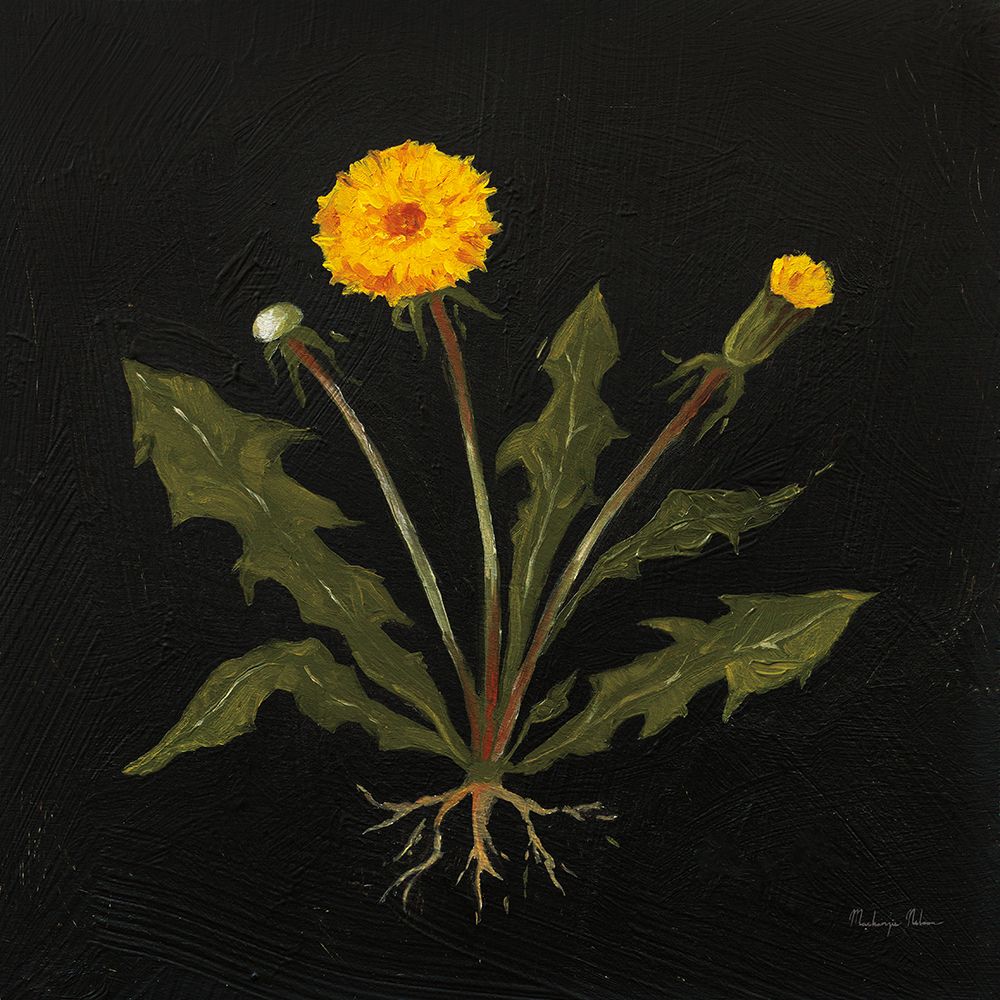Vintage Dandelion art print by Mackenzie Nelson for $57.95 CAD