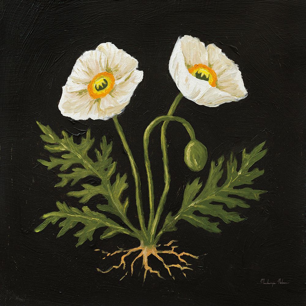 Vintage White Poppies art print by Mackenzie Nelson for $57.95 CAD