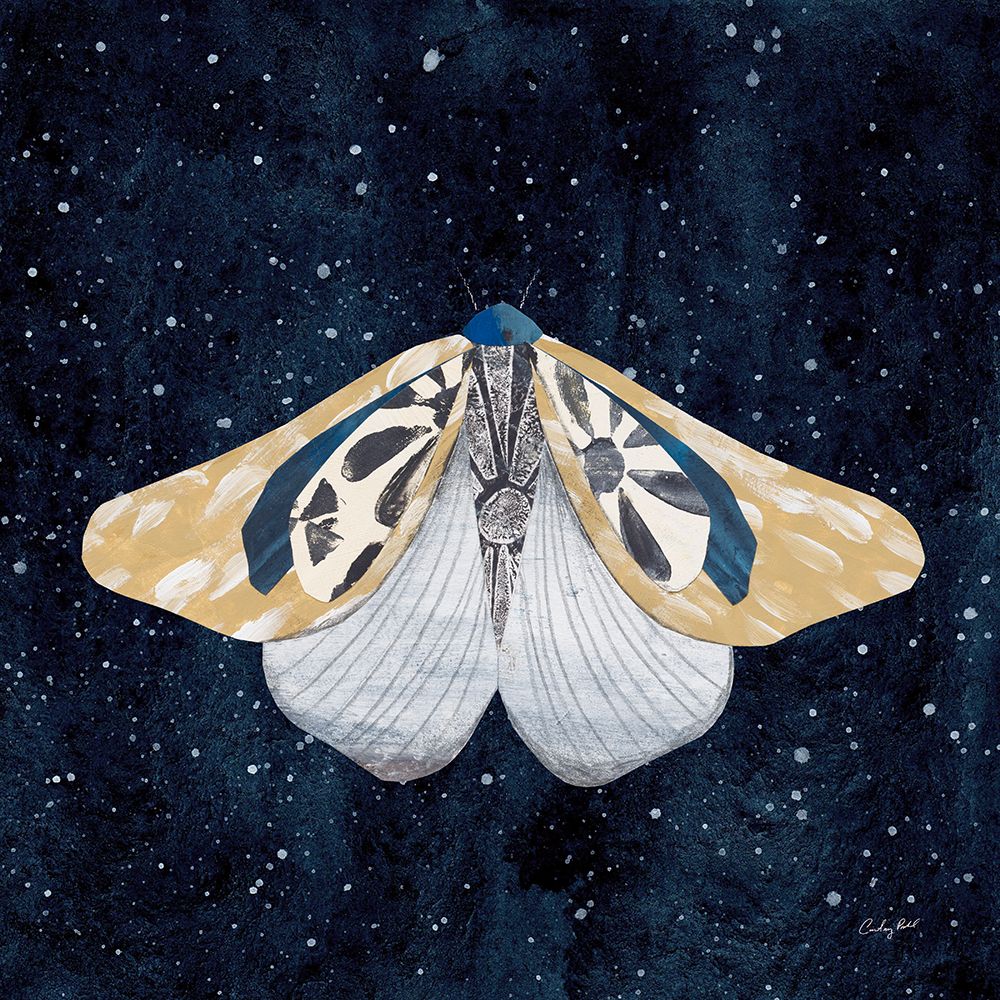 Elegant Moth II art print by Courtney Prahl for $57.95 CAD