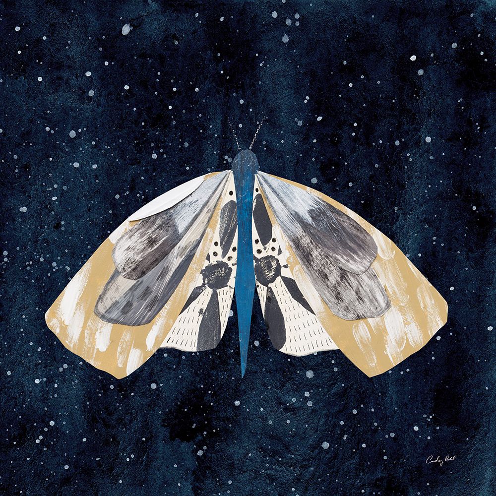 Elegant Moth III art print by Courtney Prahl for $57.95 CAD