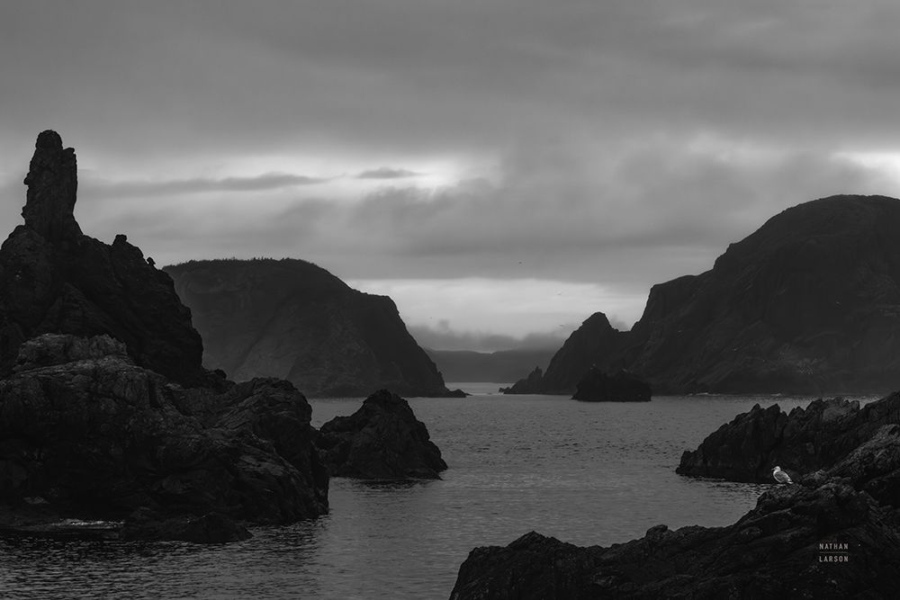 Twillingate Coast BW art print by Nathan Larson for $57.95 CAD