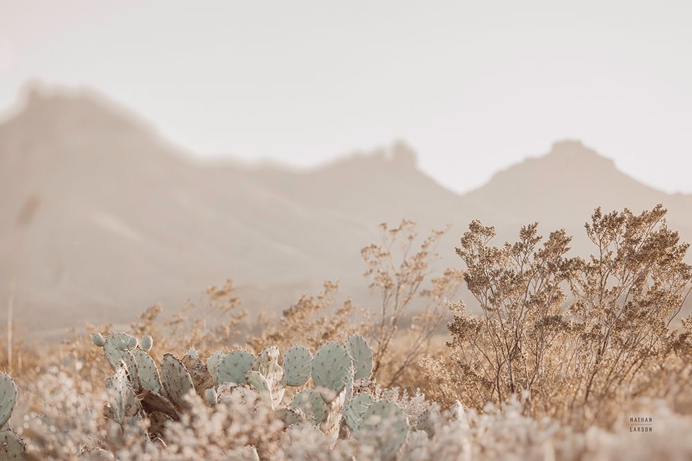 Big Bend National Park art print by Nathan Larson for $57.95 CAD