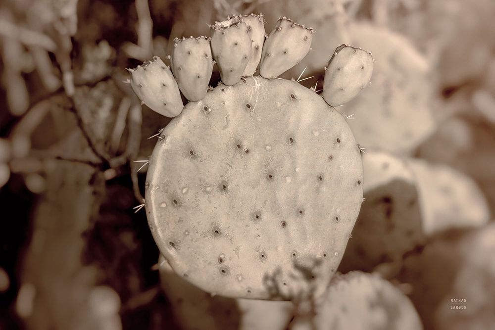 Desert Heart art print by Nathan Larson for $57.95 CAD