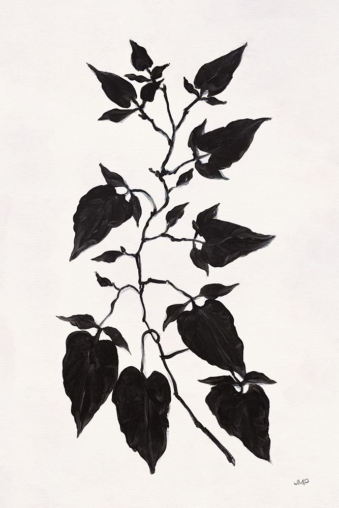 Shadow Botanical II art print by Julia Purinton for $57.95 CAD