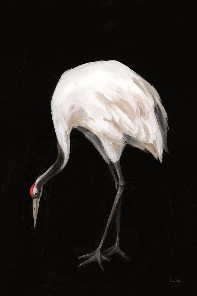 Scarlet II art print by Mackenzie Nelson for $57.95 CAD