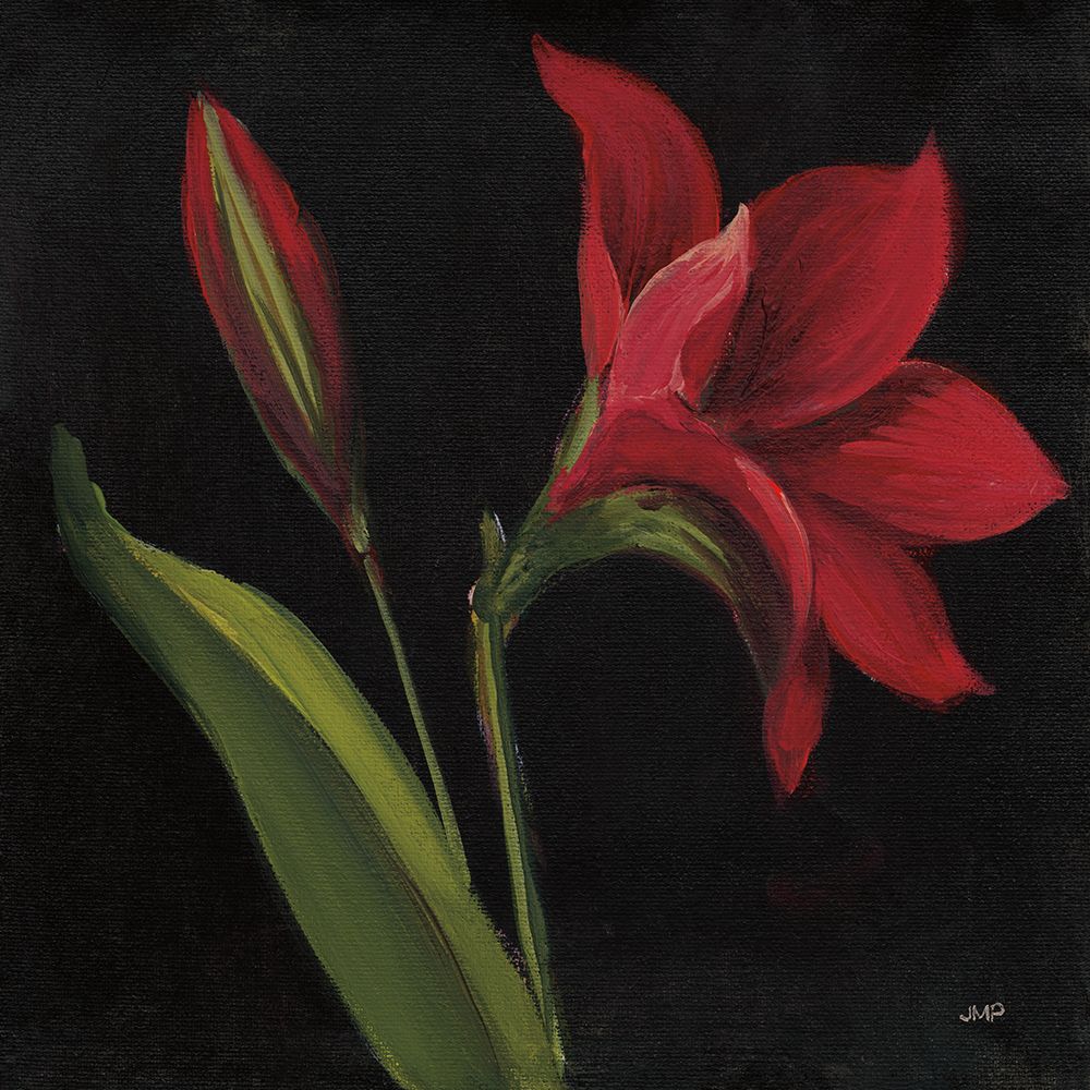 Amour Amaryllis art print by Julia Purinton for $57.95 CAD