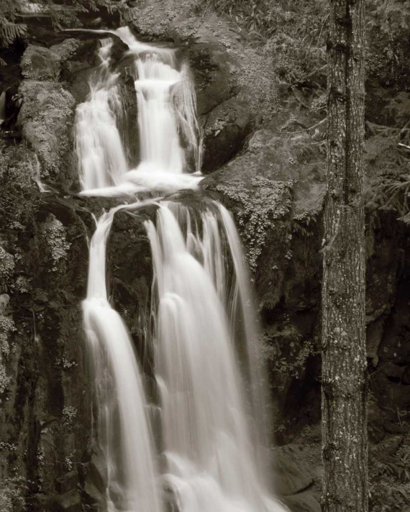 Kentucky Falls art print by Lisa Audit for $57.95 CAD