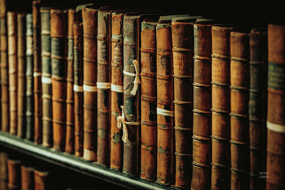 Trinity Library I art print by Nathan Larson for $57.95 CAD
