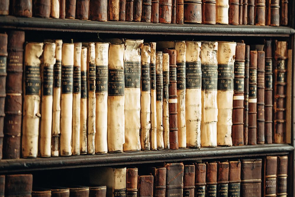 Trinity Library II art print by Nathan Larson for $57.95 CAD