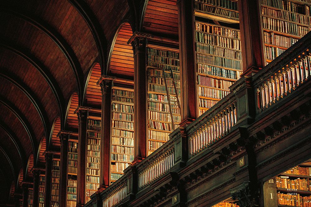 Trinity Library Design art print by Nathan Larson for $57.95 CAD