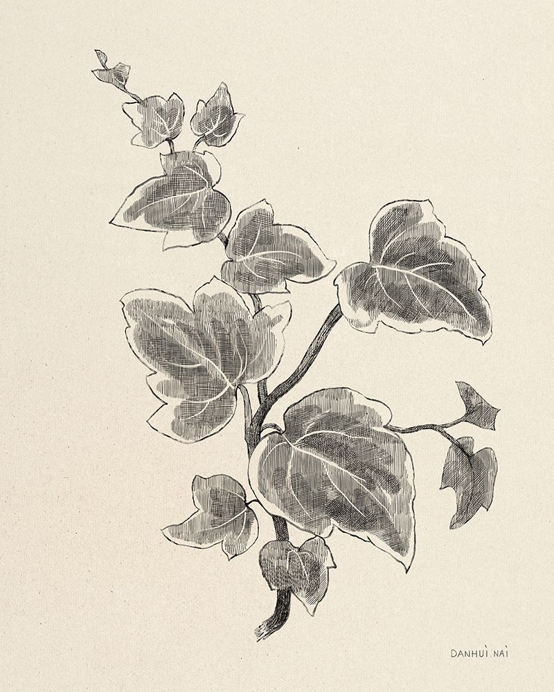 Climbing Ivy art print by Danhui Nai for $57.95 CAD
