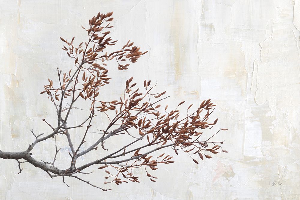 Set in White I art print by Deborah Revell for $57.95 CAD