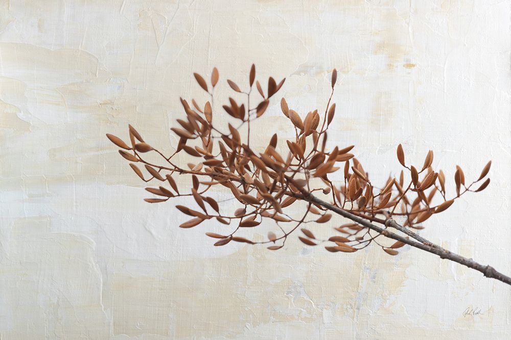 Set in White II art print by Deborah Revell for $57.95 CAD