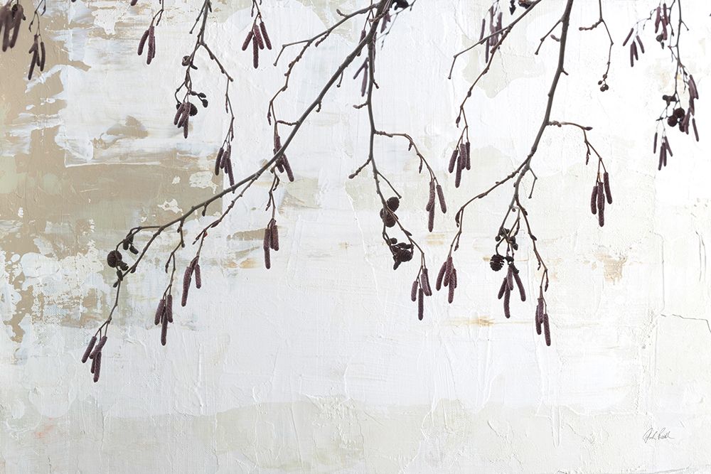 Catkins in Plaster I art print by Deborah Revell for $57.95 CAD