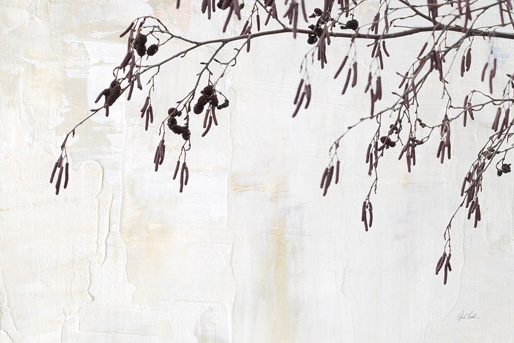 Catkins in Plaster II art print by Deborah Revell for $57.95 CAD