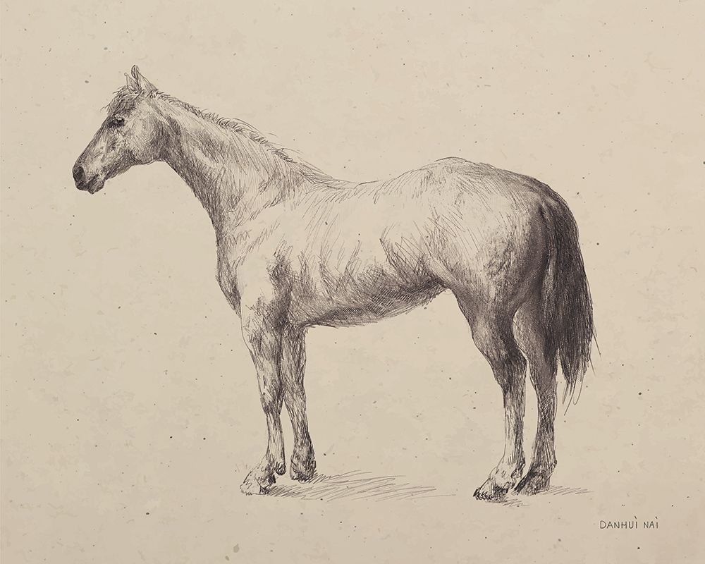 Standing Horse Sketch art print by Danhui Nai for $57.95 CAD