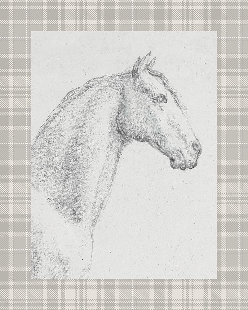 The Horse Aga Black and White v3 art print by Public Domain for $57.95 CAD