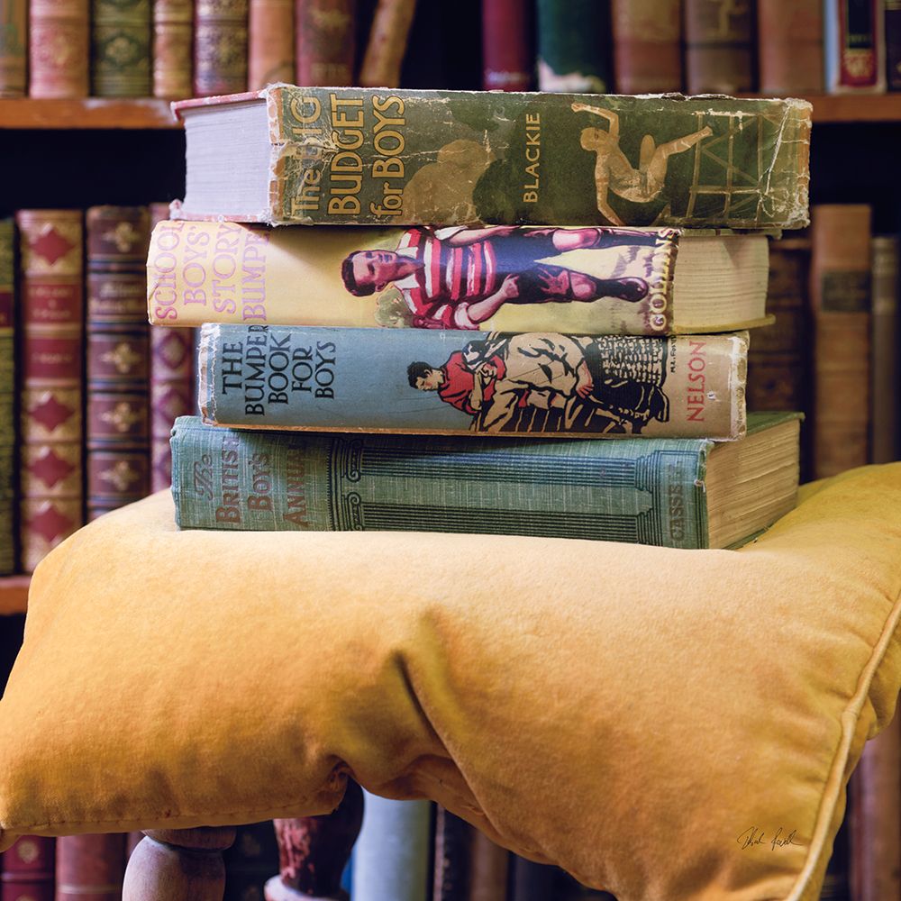 Books for Boys art print by Deborah Revell for $57.95 CAD