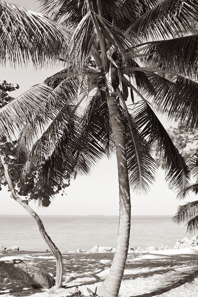 Fort Zachary Beach I BW art print by Deborah Revell for $57.95 CAD