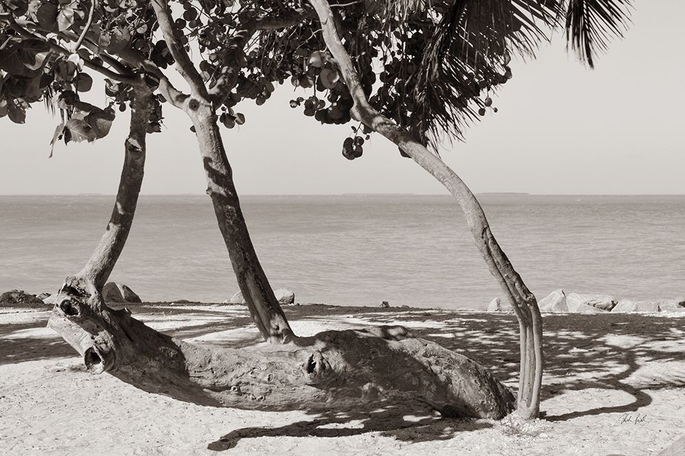 Fort Zachary Beach II BW art print by Deborah Revell for $57.95 CAD