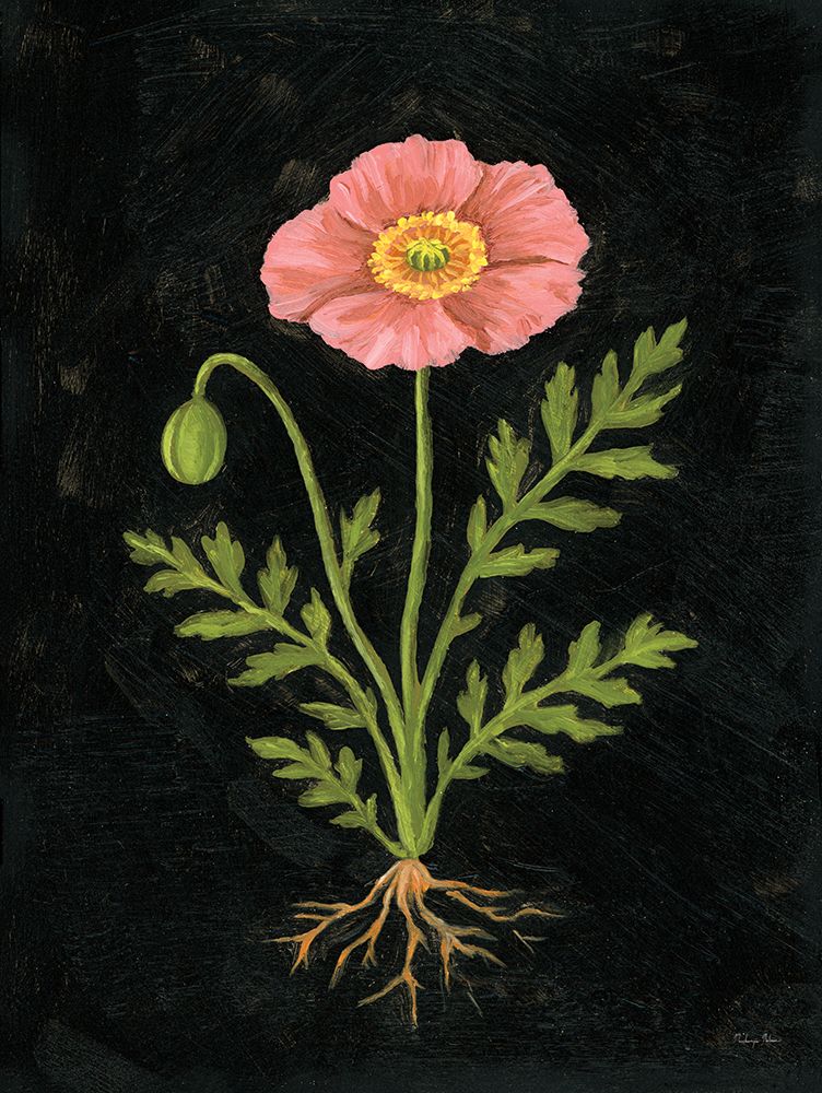 Vintage Poppy art print by Mackenzie Nelson for $57.95 CAD