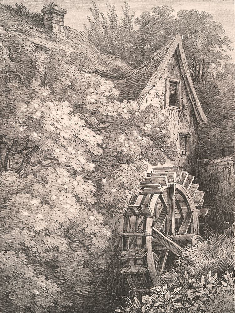 Elder Tree art print by Wild Apple Portfolio for $57.95 CAD