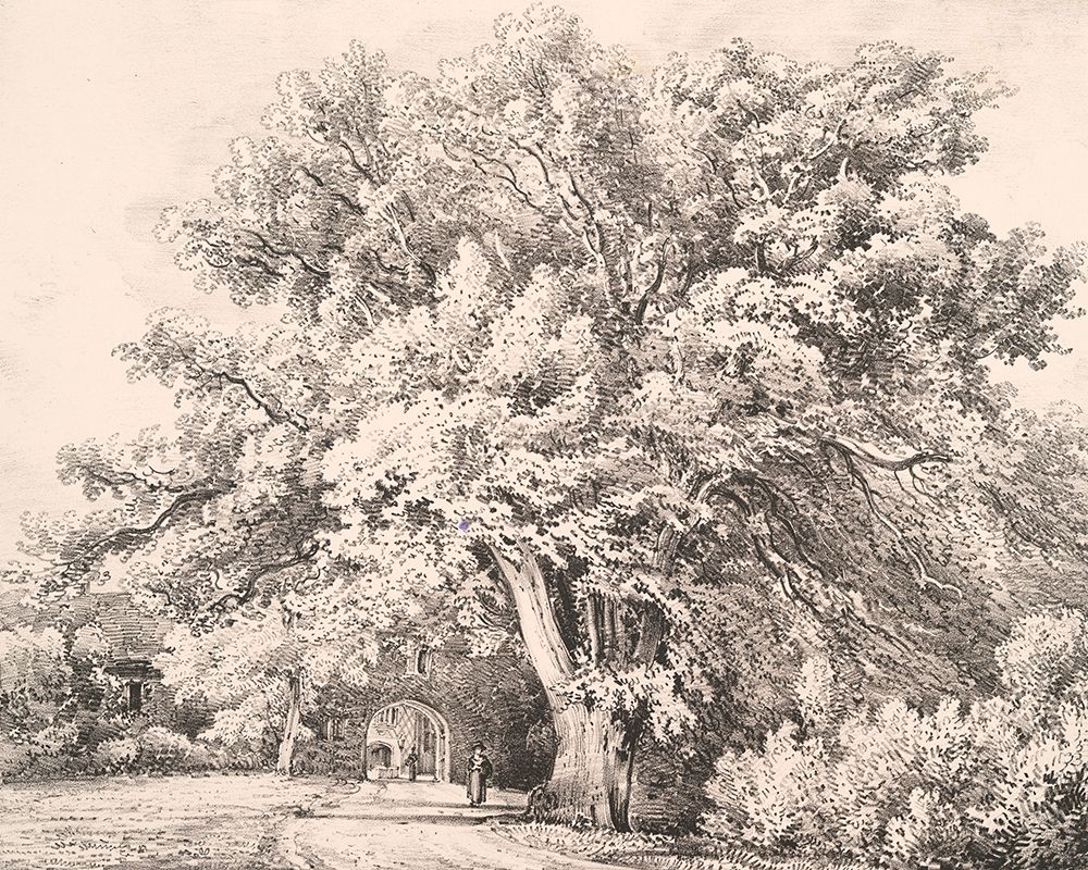 A Lime Tree art print by Wild Apple Portfolio for $57.95 CAD