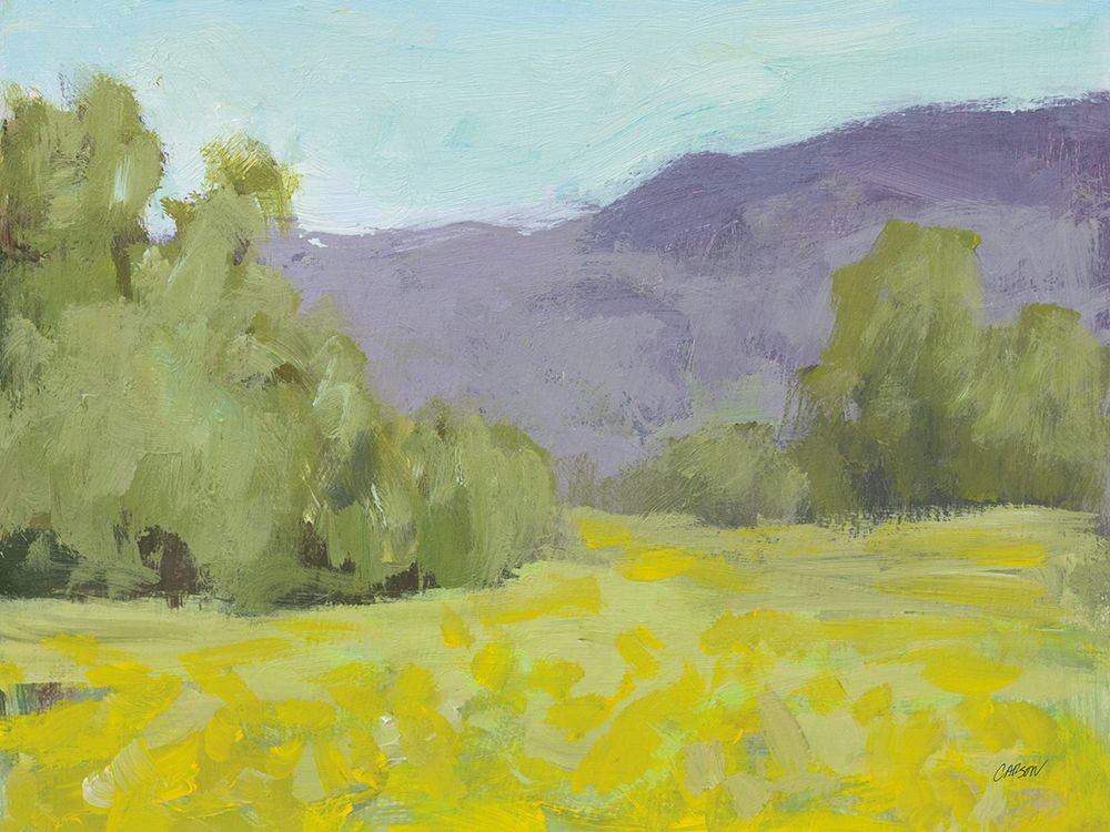 Yellow Wildflowers art print by Carson Overstreet for $57.95 CAD