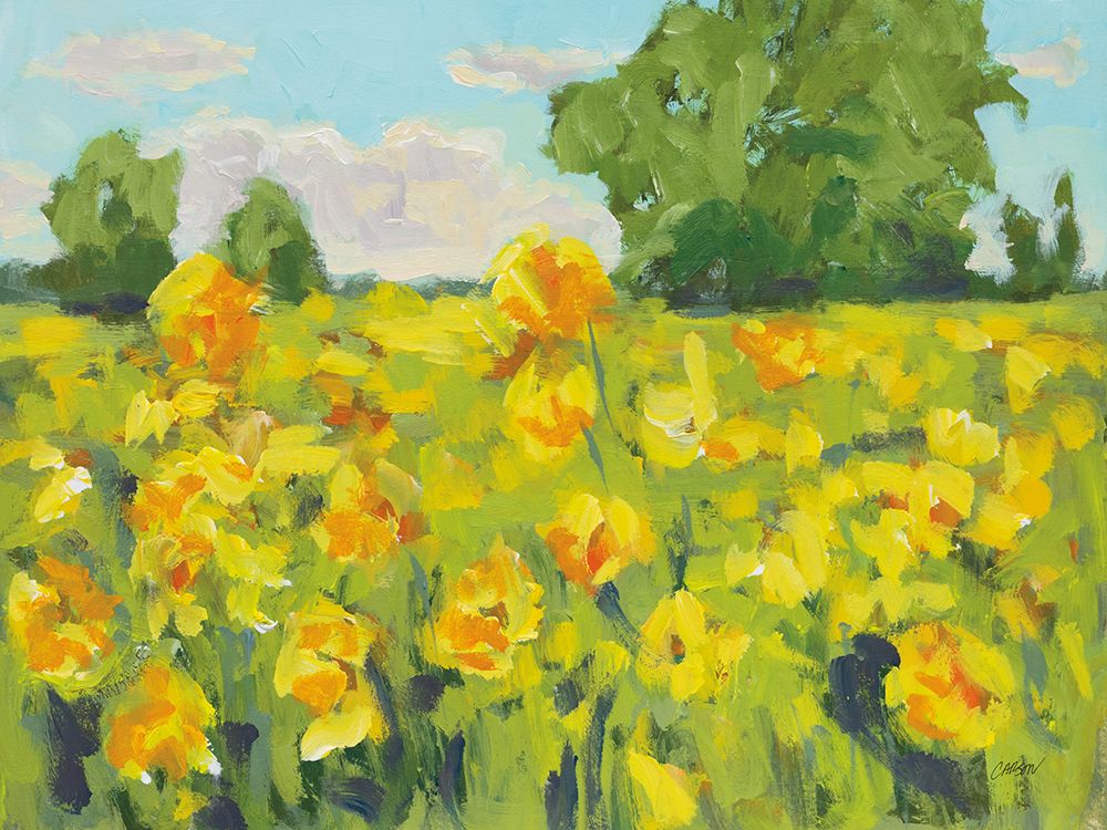 Summer Wildflowers art print by Carson Overstreet for $57.95 CAD