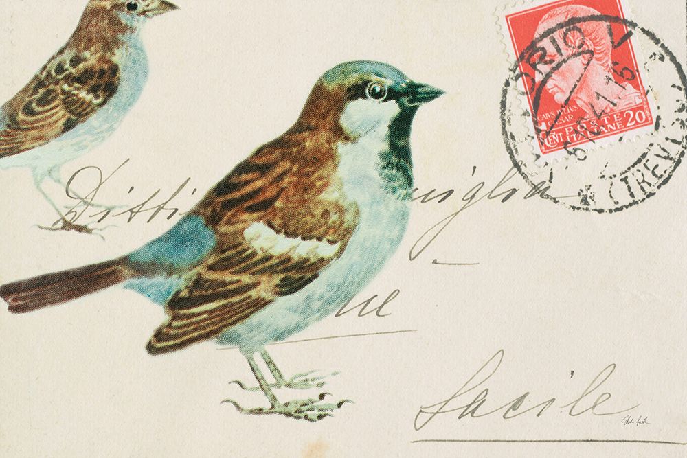 Sparrow art print by Deborah Revell for $57.95 CAD