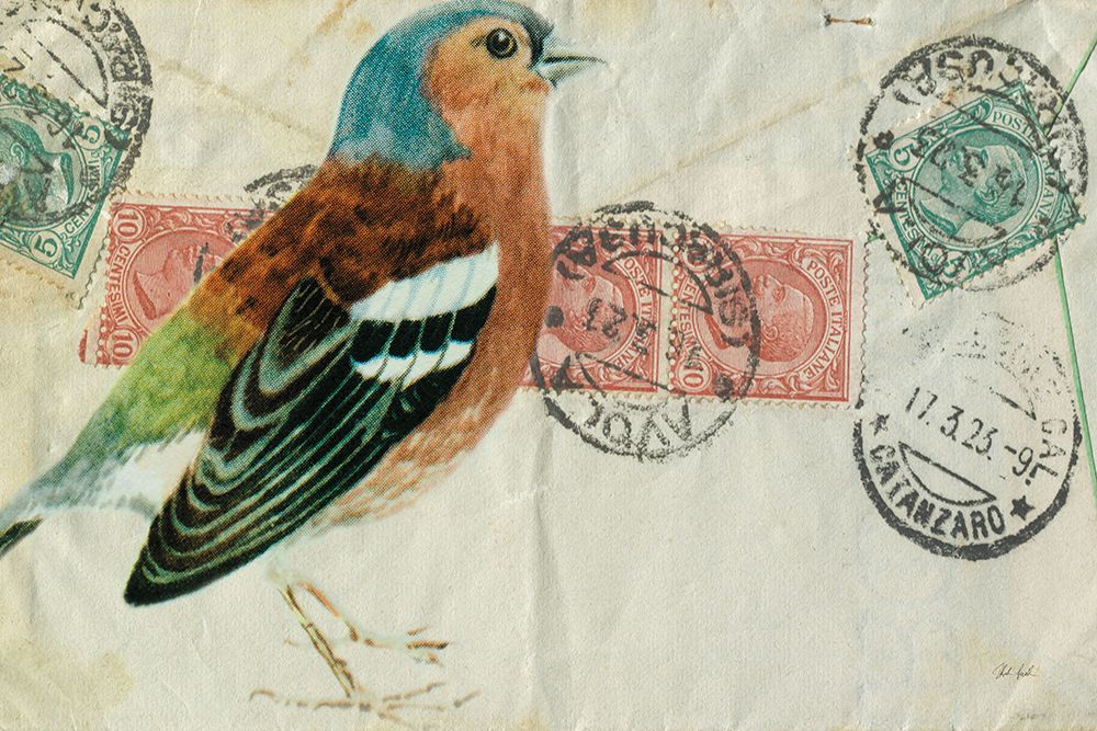 Chaffinch art print by Deborah Revell for $57.95 CAD
