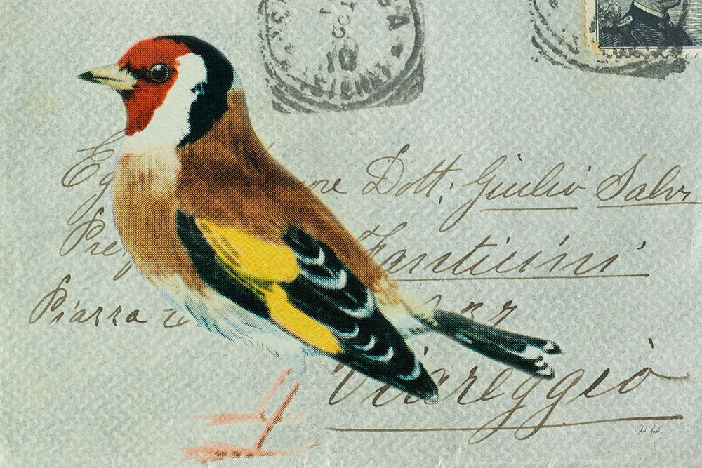 Goldfinch art print by Deborah Revell for $57.95 CAD