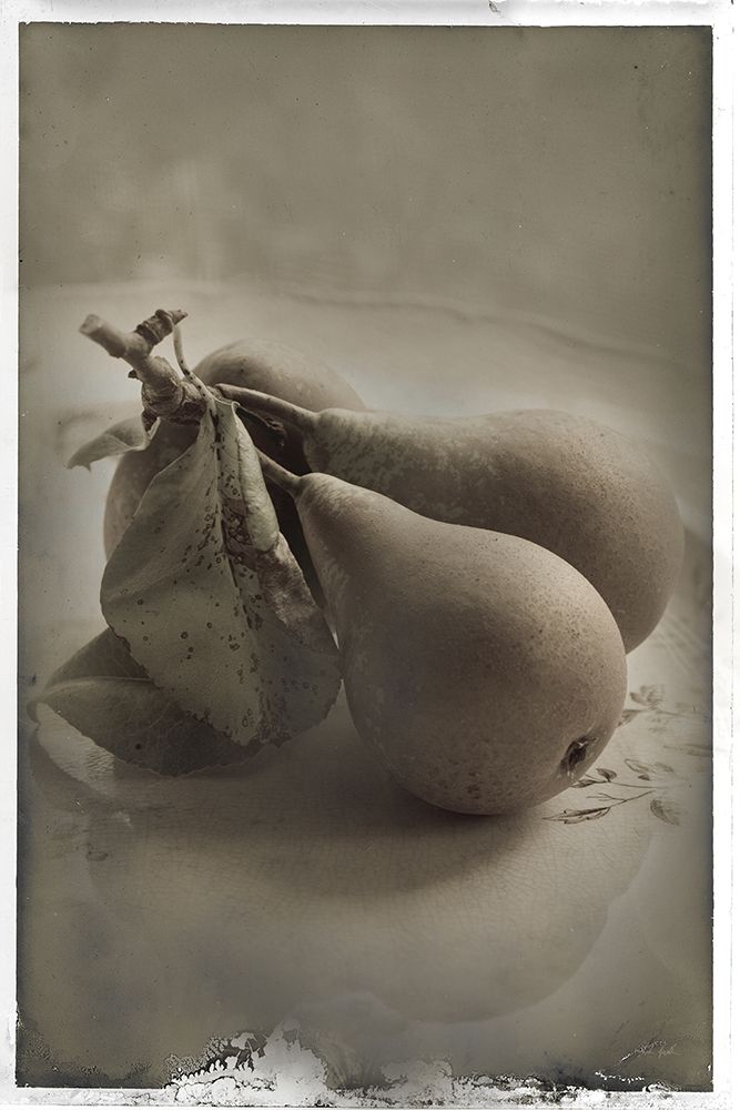 Trois Poires I art print by Deborah Revell for $57.95 CAD
