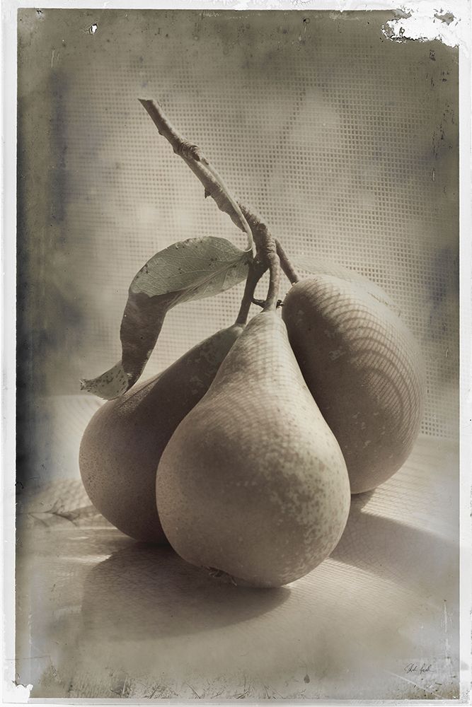 Trois Poires II art print by Deborah Revell for $57.95 CAD