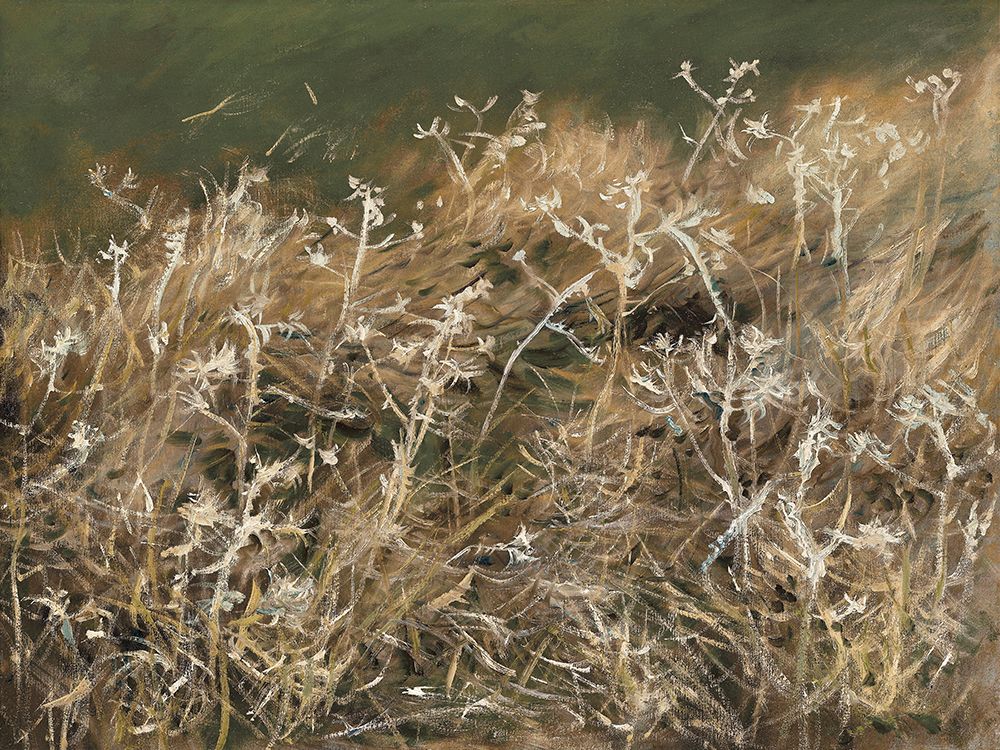 Thistles Green art print by Wild Apple Portfolio for $57.95 CAD