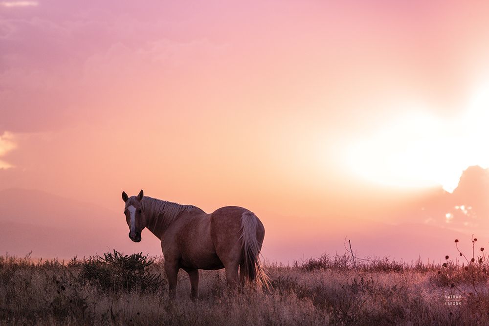 Following Along art print by Nathan Larson for $57.95 CAD