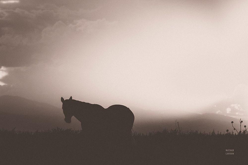 Following Along Sepia art print by Nathan Larson for $57.95 CAD