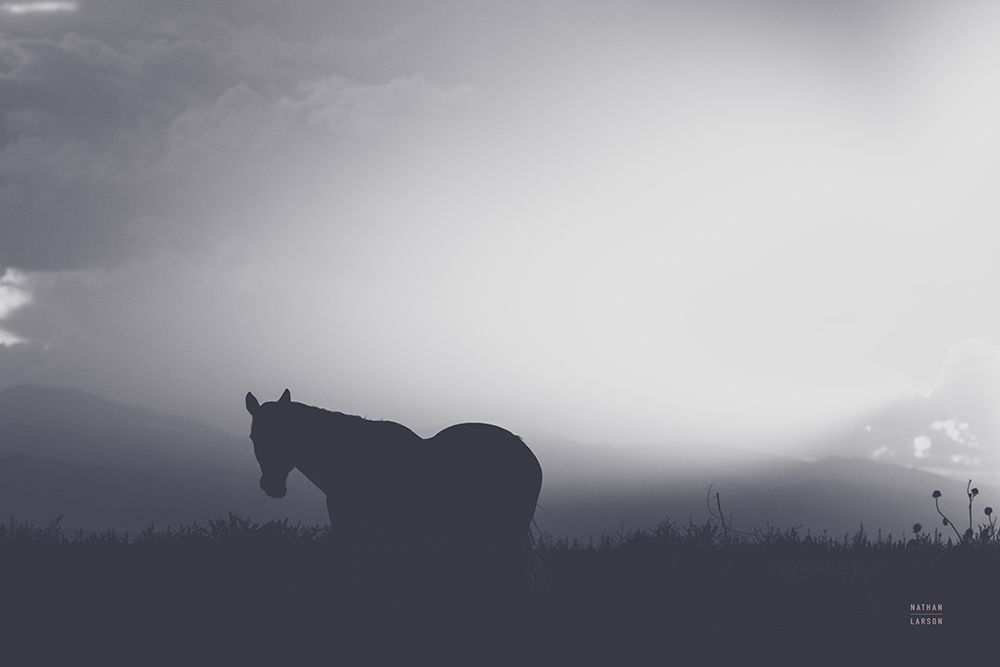 Following Along Twilight art print by Nathan Larson for $57.95 CAD