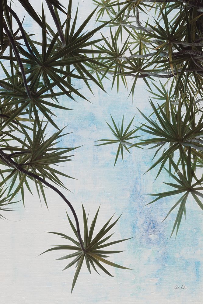 Spiral Palm I art print by Deborah Revell for $57.95 CAD